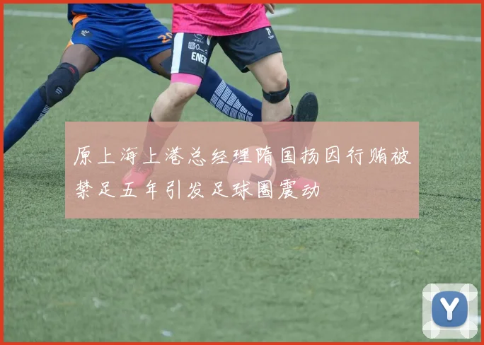 原上海上港总经理隋国扬因行贿被禁足五年引发足球圈震动